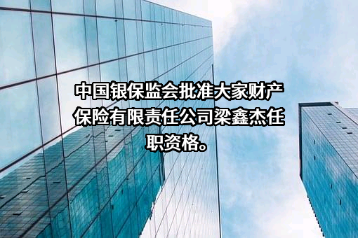 大家财产保险有限责任公司