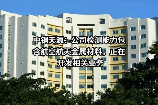 中钢天源股份有限公司