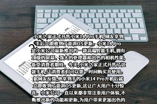小米之家科技有限公司