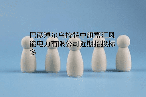 巴彦淖尔乌拉特中旗富汇风能电力有限公司