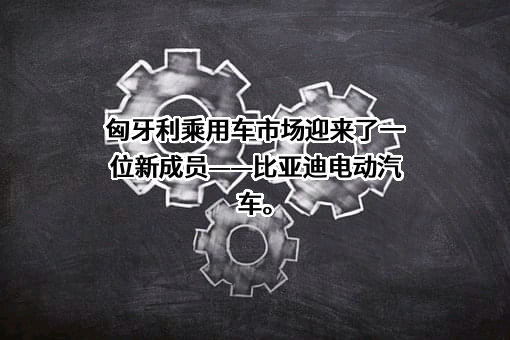 深圳壳牌比亚迪电动汽车投资有限公司