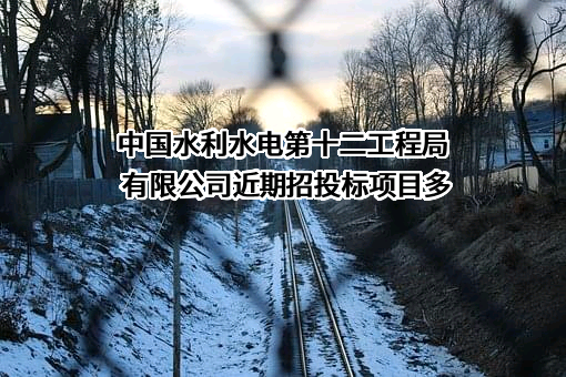 中国水利水电第十二工程局有限公司