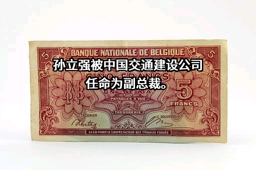中国交通建设股份有限公司