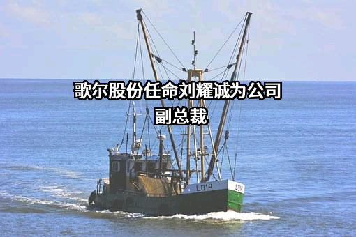 歌尔股份有限公司