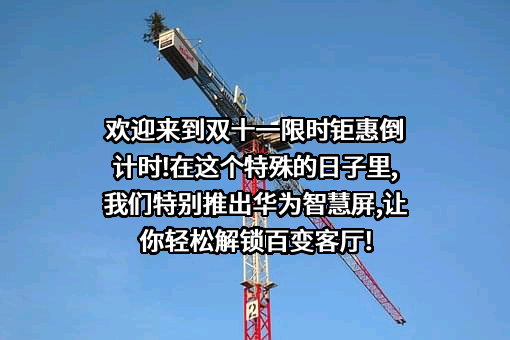华为技术有限公司