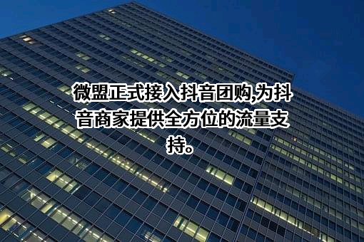 上海微盟企业发展有限公司