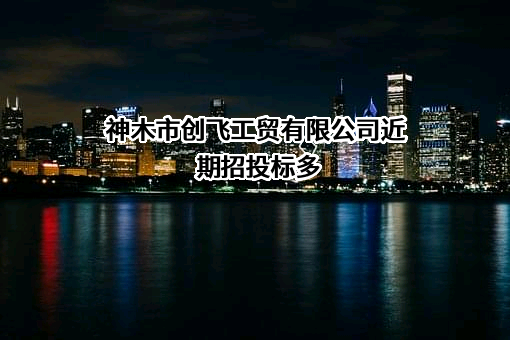 神木市创飞工贸有限公司
