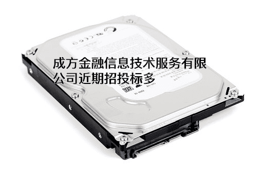 成方金融信息技术服务有限公司