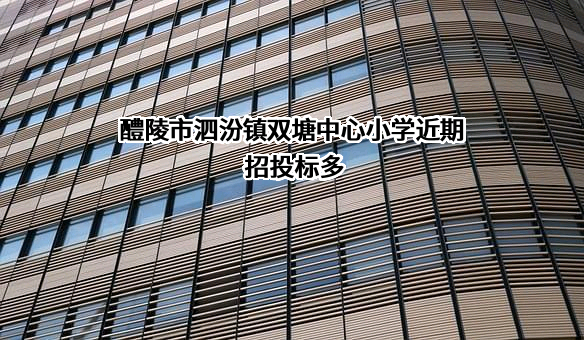 醴陵市泗汾镇双塘中心小学近期招投标项目多