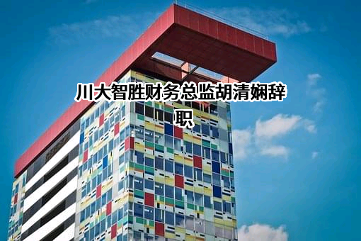 四川川大智胜软件股份有限公司