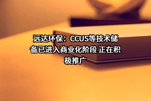 国家电投集团远达环保股份有限公司
