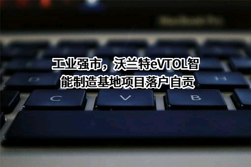 四川德维阀门有限公司