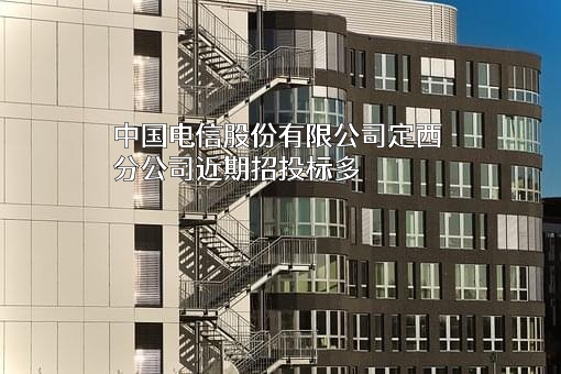 中国电信股份有限公司定西分公司