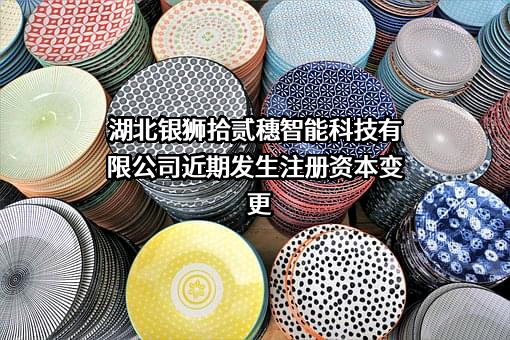 湖北银狮拾贰穗智能科技有限公司
