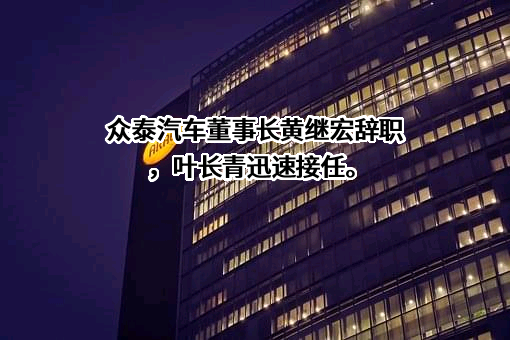 庞大汽贸集团股份有限公司