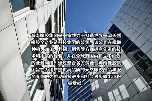 海南天然橡胶产业集团股份有限公司