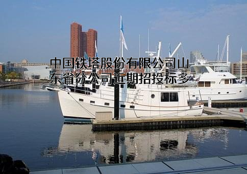 中国铁塔股份有限公司山东省分公司