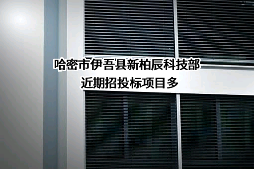 哈密市伊吾县新柏辰科技部近期招投标项目多