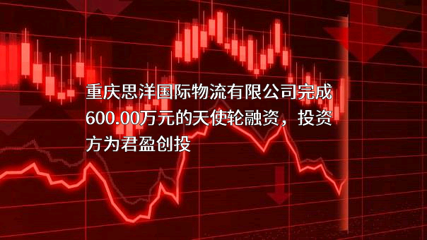重庆思洋国际物流有限公司