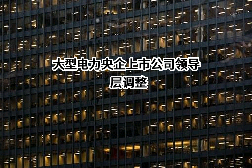 大唐华银电力股份有限公司