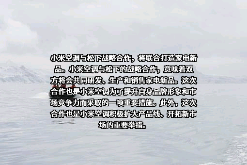 松下电器（中国）有限公司