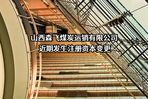 山西森飞煤炭运销有限公司