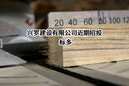 兴罗建设有限公司