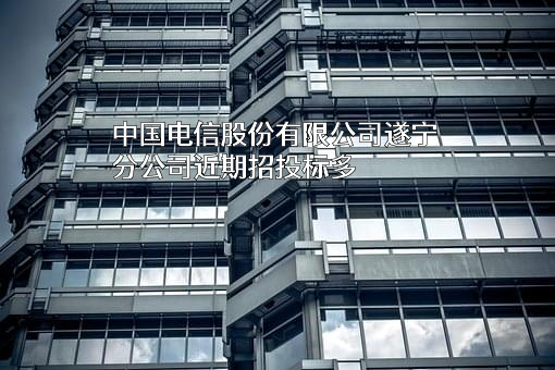 中国电信股份有限公司遂宁分公司