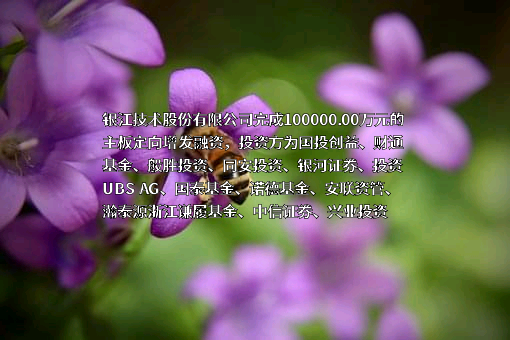 银江技术股份有限公司