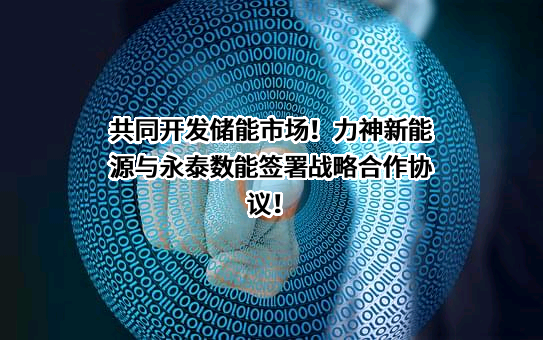 力神（青岛）新能源有限公司