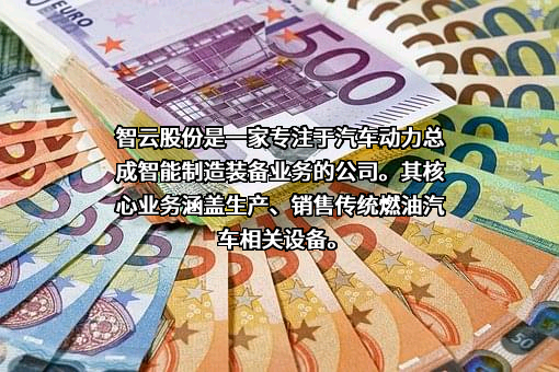 大连智云自动化装备股份有限公司