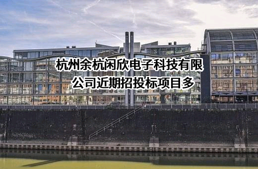 杭州余杭闲欣电子科技有限公司
