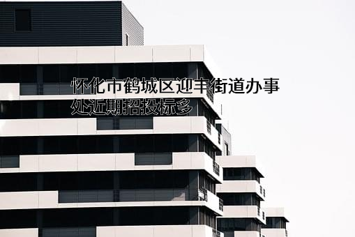 怀化市鹤城区迎丰街道办事处近期招投标项目多