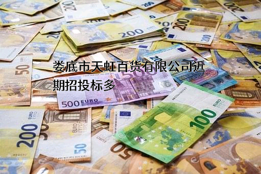 娄底市天虹百货有限公司