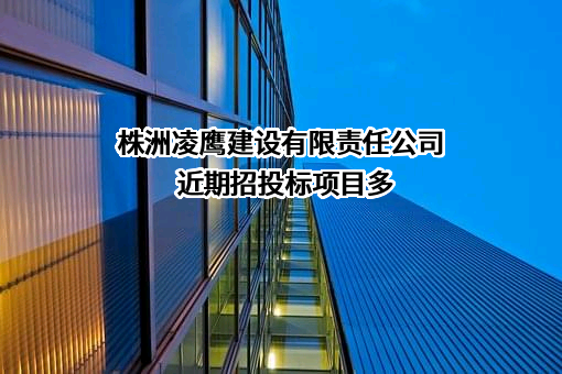 株洲凌鹰建设有限责任公司近期招投标项目多