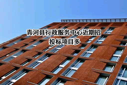 青河县行政服务中心