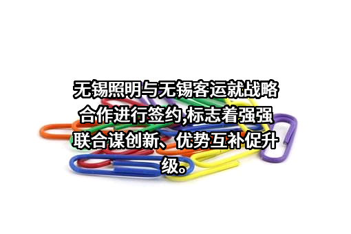 无锡照明股份有限公司