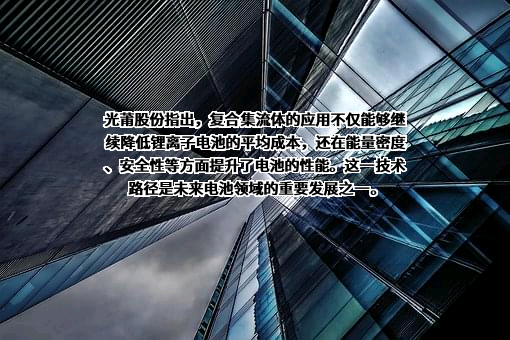 厦门光莆电子股份有限公司