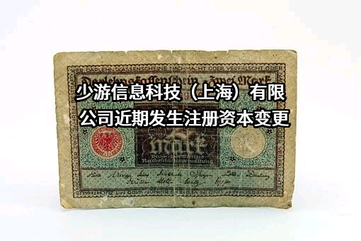 少游信息科技（上海）有限公司