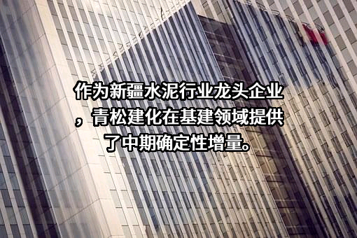 新疆青松建材化工（集团）股份有限公司