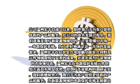 温州宏丰电工合金股份有限公司
