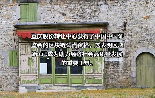 重庆股份转让中心有限责任公司