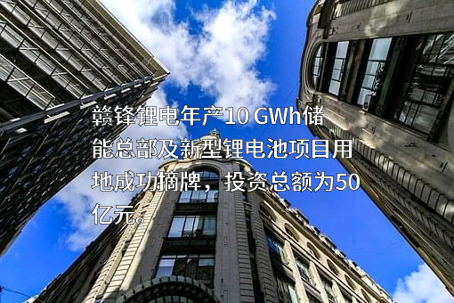 东莞赣锋电子有限公司