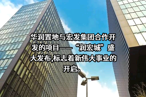 华润置地有限责任公司