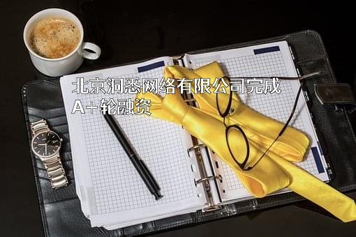 北京洞悉网络有限公司