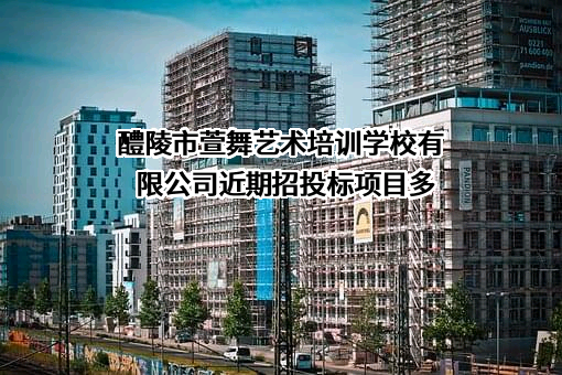 醴陵市萱舞艺术培训学校有限公司近期招投标项目多