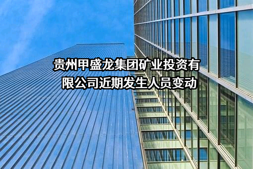 贵州甲盛龙集团矿业投资有限公司