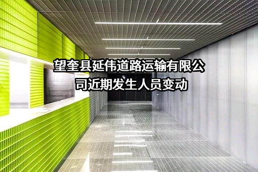 望奎县延伟道路运输有限公司