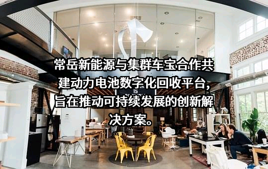福建常岳新能源科技有限公司