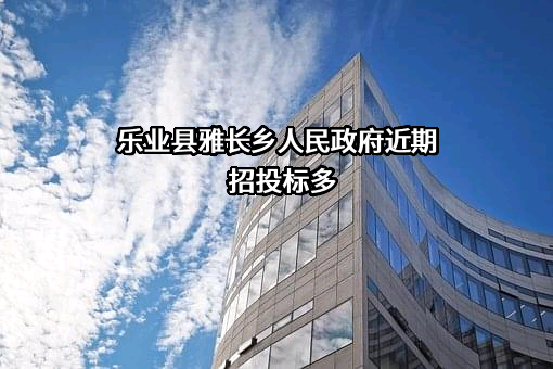 乐业县雅长乡人民政府